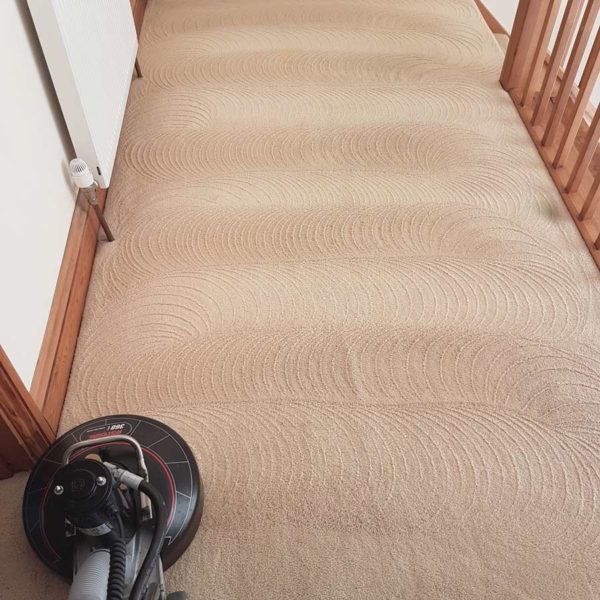 affordable-carpet-cleaning affordable-carpet-cleaning
