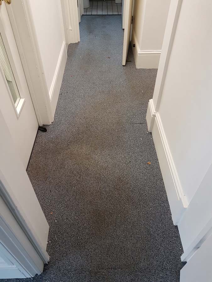 Commercial carpet cleaning Brighton – before Commercial carpet cleaning Brighton - before