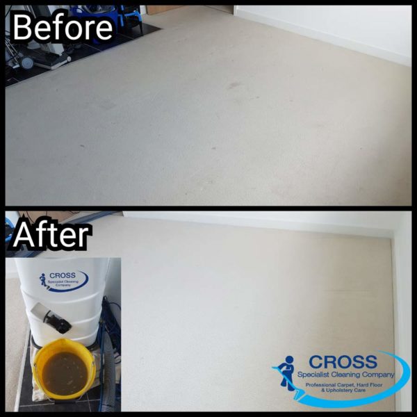Carpet Cleaning Sussex - stain removal before and after Carpet Cleaning Sussex - stain removal before and after