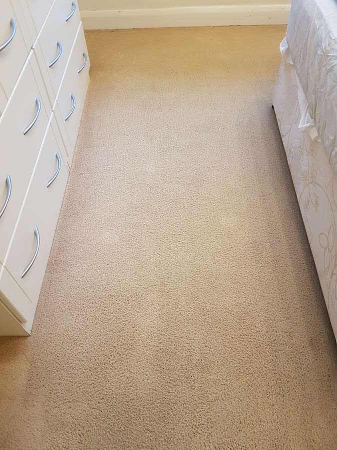 Deep cleaning stains from carpets after Carpet cleaning in Sussex - deep cleaning stains from carpets after