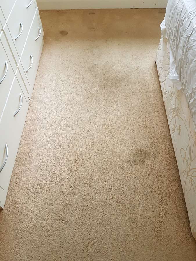 Deep cleaning stains from carpets before Carpet cleaning in Sussex - deep cleaning stains from carpets before