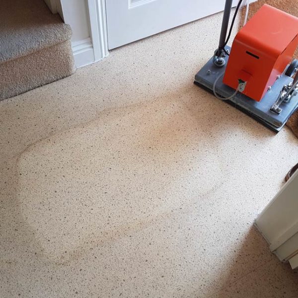 Demo strip - hard floor cleaning Brighton, Sussex Demo strip - hard floor cleaning Brighton, Sussex