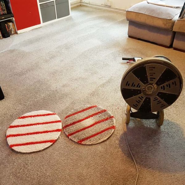 DryFusion carpet cleaning Brighton and Sussex DryFusion carpet cleaning Brighton and Sussex