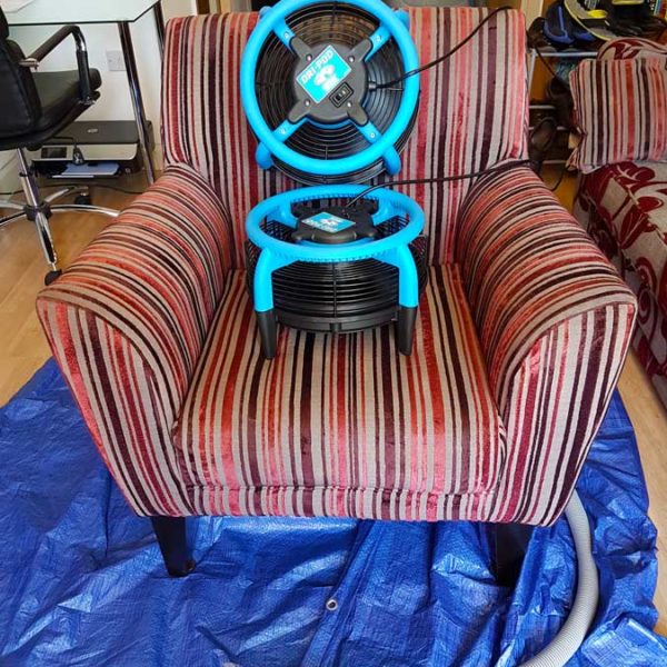 Fabric upholstery cleaning Brighton Eco-friendly fabric upholstery cleaning Brighton
