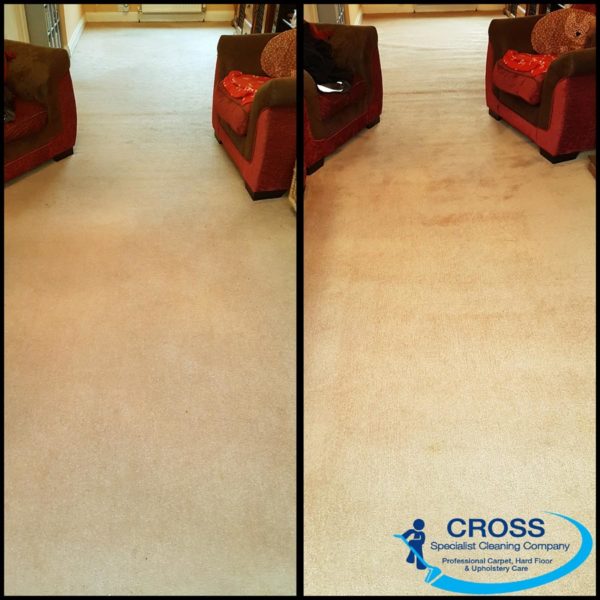 Living room carpet cleaning in Sussex - before and after Living room carpet cleaning in Sussex - before and after