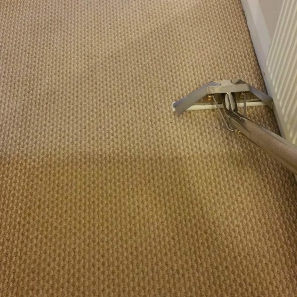 sisal-berber-carpet-cleaning-in-sussex sisal-berber-carpet-cleaning-in-sussex