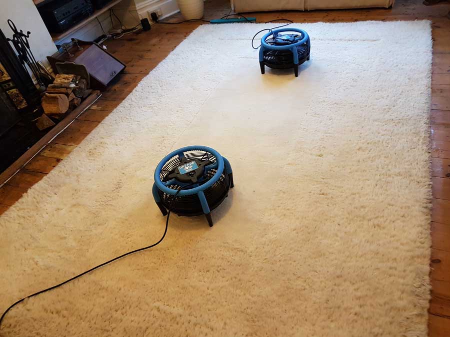 Specialist Rug Cleaning Brighton and Sussex