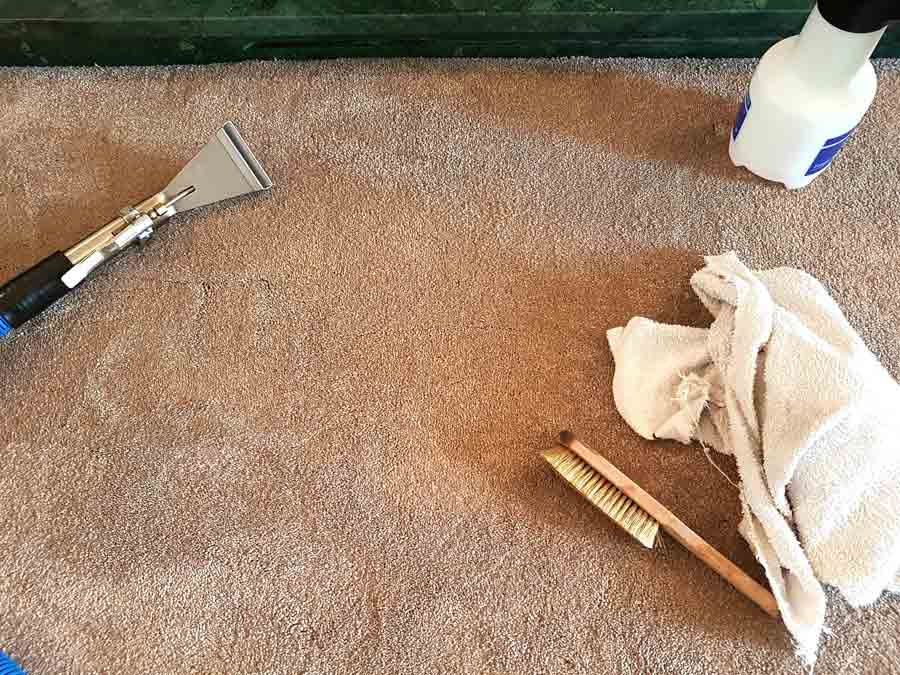 Stain removal carpet cleaning Brighton