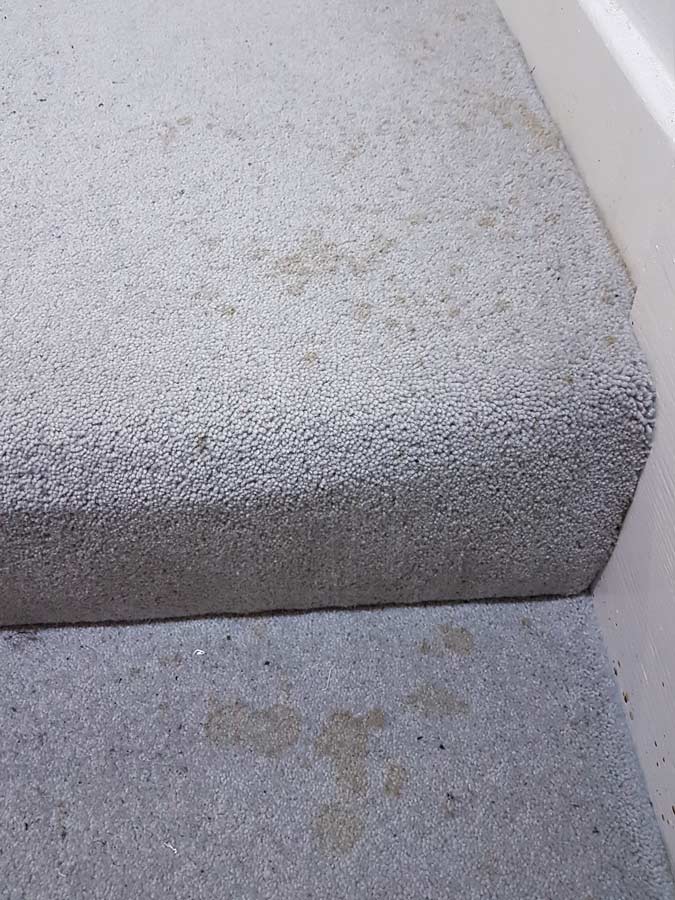 Stain removal stairs – before carpet cleaning Stain removal stairs - Carpet cleaning Sussex - before
