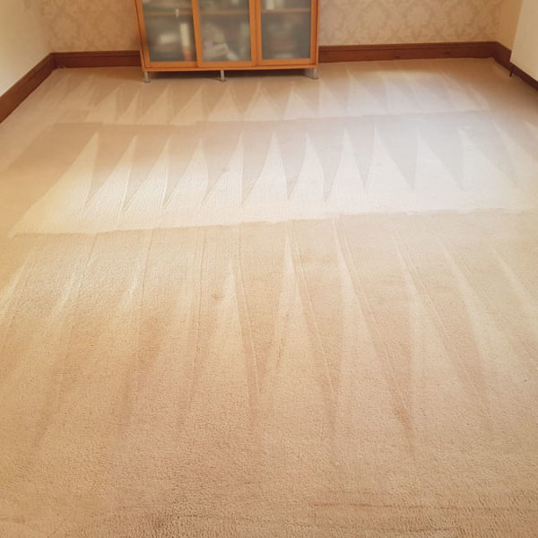 Carpet Cleaning in Brighton - Satisfaction Guaranteed Carpet Cleaning in Brighton - Satisfaction Guaranteed