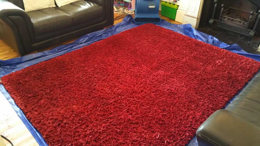 Wool shagpile rug cleaning – after Wool shagpile rug cleaning Brighton - after