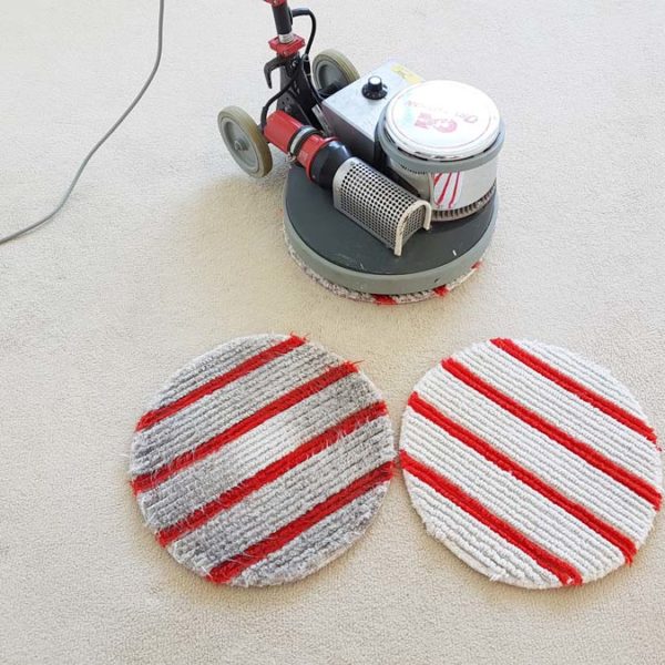 DryFusion carpet cleaning in Brighton and Sussex DryFusion carpet cleaning in Brighton and Sussex