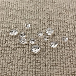 Help avoid stains with carpet protector - Carpet Cleaning Brighton