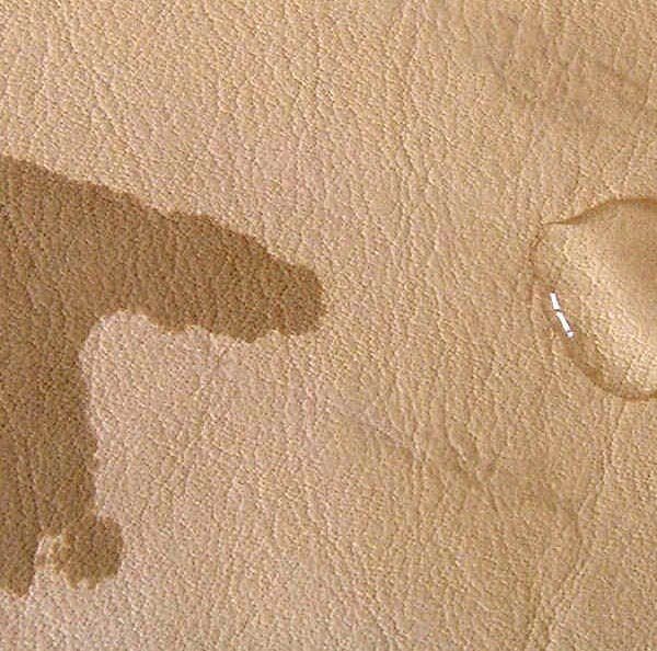 We can protect your leather against damage Professional Leather Cleaning and Restoration in Sussex