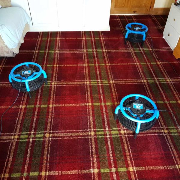 Carpet after deep clean in Peacehaven, Sussex Carpet after deep clean in Peacehaven, Sussex
