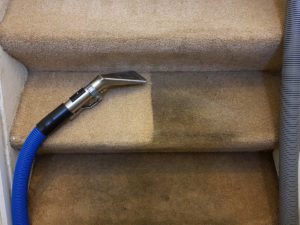 Stairs carpet cleaning in Brighton