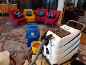 Commercial upholstery cleaning in Brighton