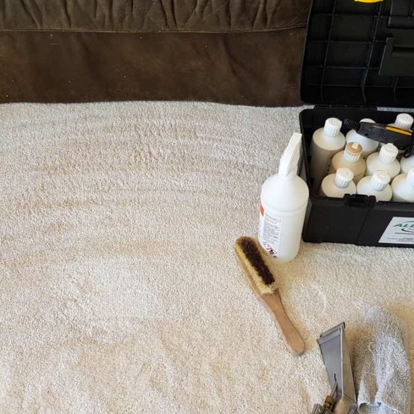 Makeup removal from carpet - Peacehaven - after Makeup removal from carpet - Peacehaven - after