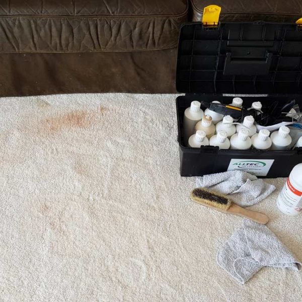 Makeup removal from carpet - Peacehaven - before Makeup removal from carpet - Peacehaven - before