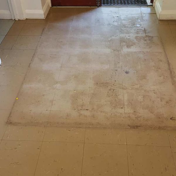 vinyl-floor-polish-albourne-7 vinyl-floor-polish-albourne-7
